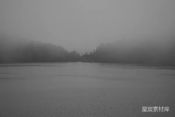 高清摄影 一片被树木环绕的水域在雾中。