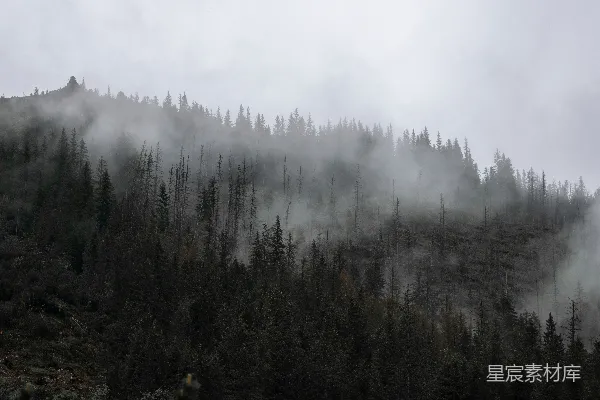 高清摄影 在多云的天气里，一座被雾气和树木覆盖的山