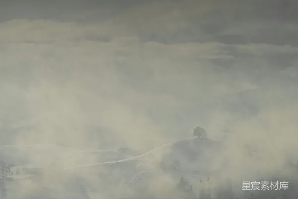 高清摄影 雾蒙蒙的风景，前景中有一棵孤独的树。