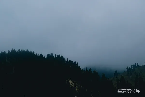 高清摄影 白云下的绿树