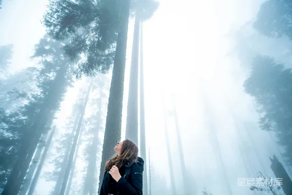 高清摄影 森林中的女人