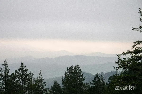高清摄影 一座山脉的远景，前景中有树木。