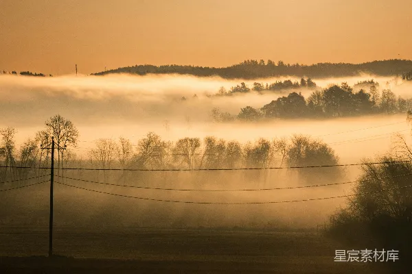 高清摄影 阳光透过树上的雾照进来