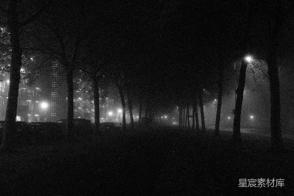 高清摄影 夜晚的公园小径昏暗而雾蒙蒙，路灯照亮了路面。