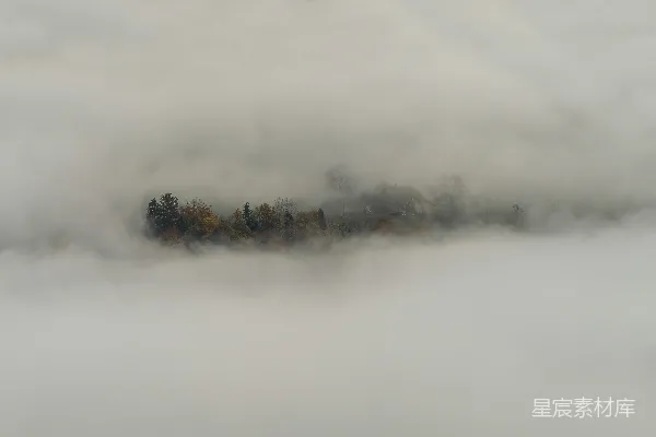高清摄影 一片雾蒙蒙的景观，远处有树木。