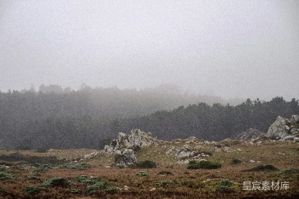 高清摄影 一片长满草的田野，背景中有岩石和树木。