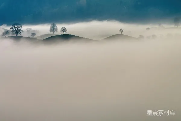 高清摄影 雾蒙蒙的风景，远处有树木。