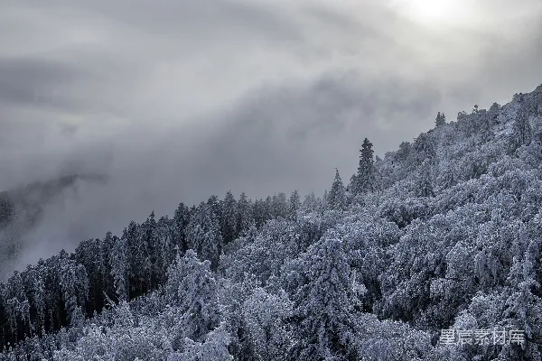 高清摄影 一座覆盖着树木的雪山，在多云的天空下。