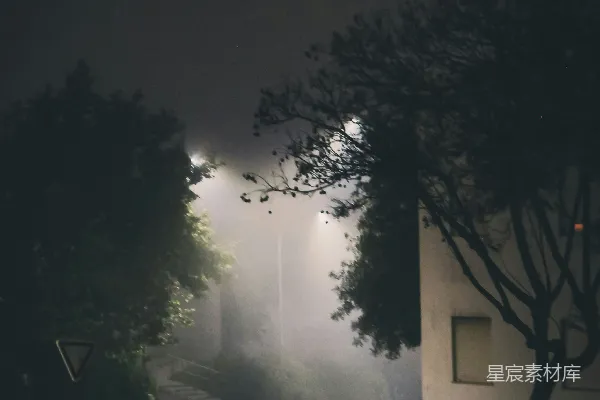 高清摄影 昏黄的路灯照亮了一个安静的社区夜晚。