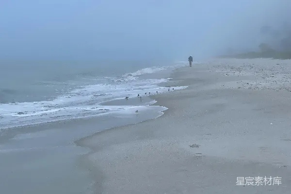 高清摄影 一个站在海滩上的人，旁边是海洋。