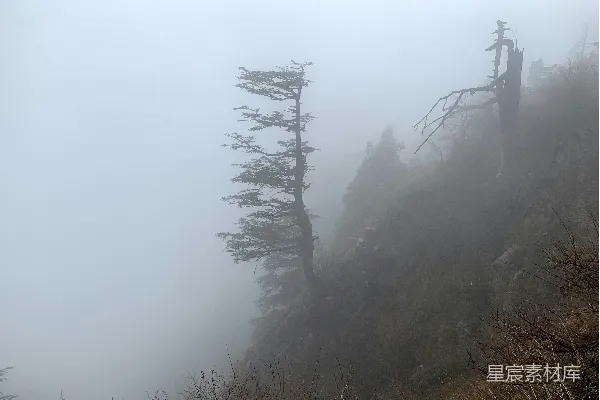 高清摄影 一座雾蒙蒙的山，山边有树木。