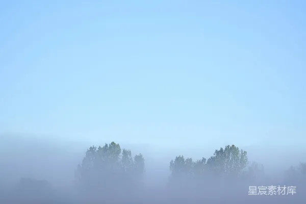 高清摄影 雾蒙蒙的早晨景象，有树木和草地。