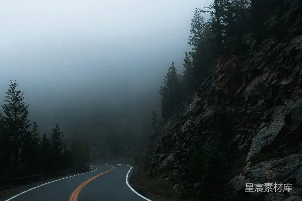 高清摄影 一条路，路旁有树。