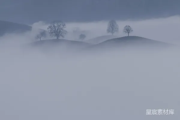 高清摄影 雾蒙蒙的景观，远处有树木。