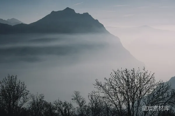 高清摄影 光秃的树木和山