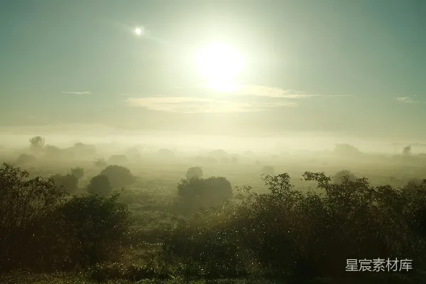 高清摄影 雾蒙蒙的早晨风景，阳光穿透雾气照耀