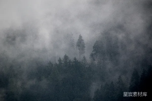 高清摄影 一座被雾笼罩的山，前面有树木。