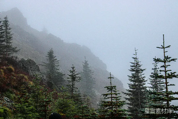 高清摄影 雾蒙蒙的山，山上长着树木。