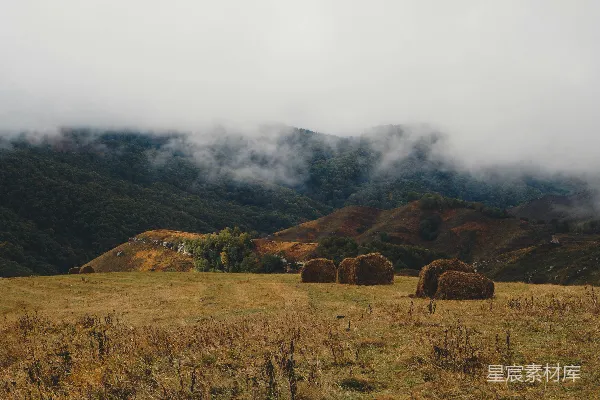 高清摄影 一片田野，前景中有干草捆，背景是山脉。