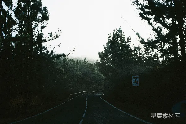 高清摄影 一辆汽车在树木环绕的道路上行驶