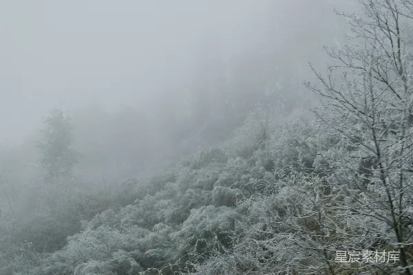 高清摄影 一座覆盖着雪的山，山的一侧有树木。