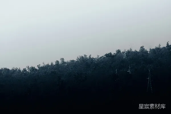 高清摄影 一片树林