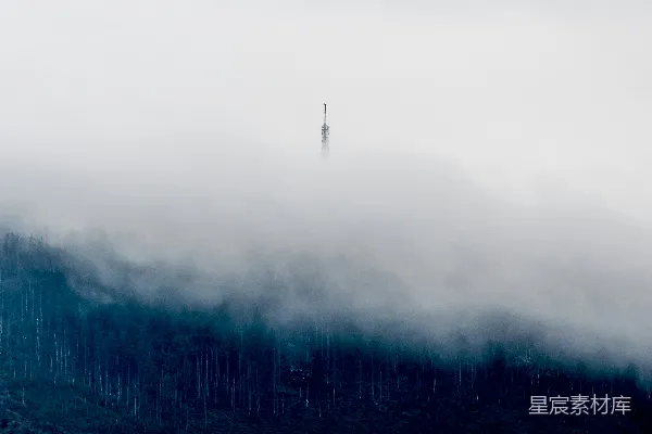 高清摄影 被雾气笼罩的绿树
