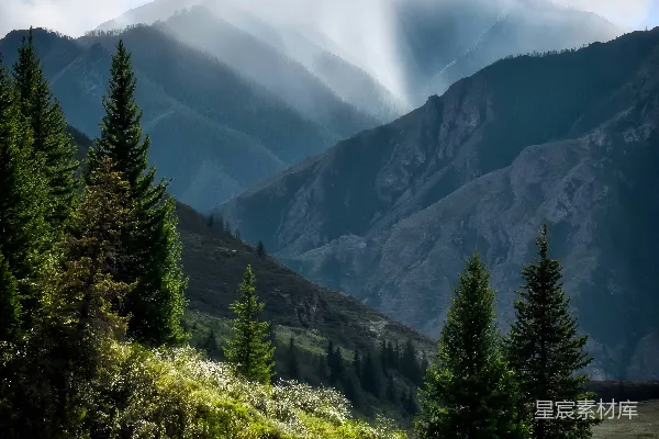 高清摄影 山脉的风景，前景中有树木。