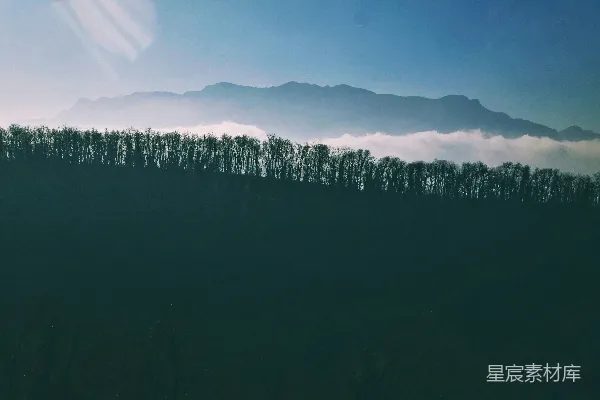 高清摄影 雾蒙蒙的山脉在树林后面。