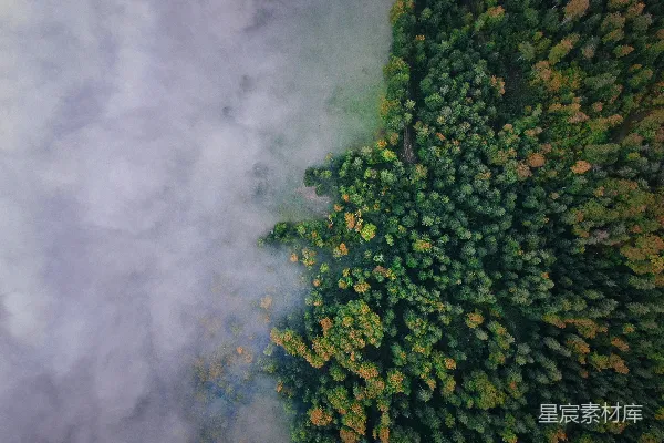 高清摄影 中午时分的森林俯瞰图