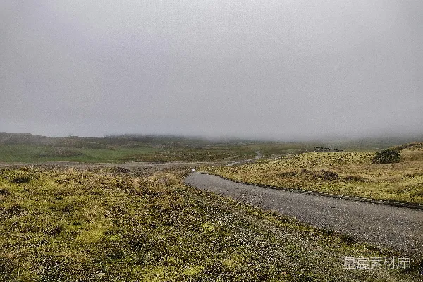 高清摄影 一条路穿过草地。