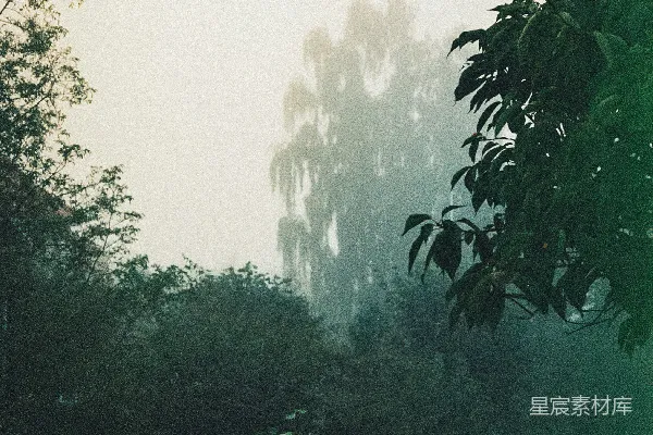 高清摄影 白昼的天空下，绿树成荫。