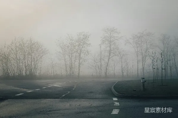 高清摄影 一条雾蒙蒙的路，两旁有树木和一盏路灯。