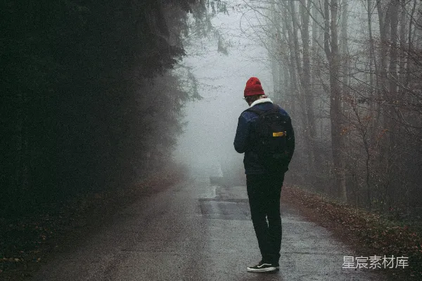 高清摄影 在森林旁的道路上行走的人