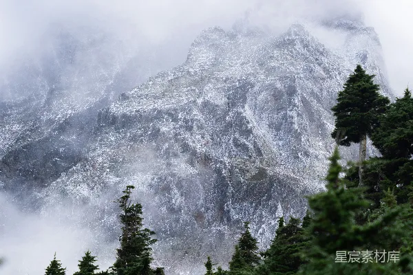 高清摄影 一座被雪覆盖的山，周围是树木。