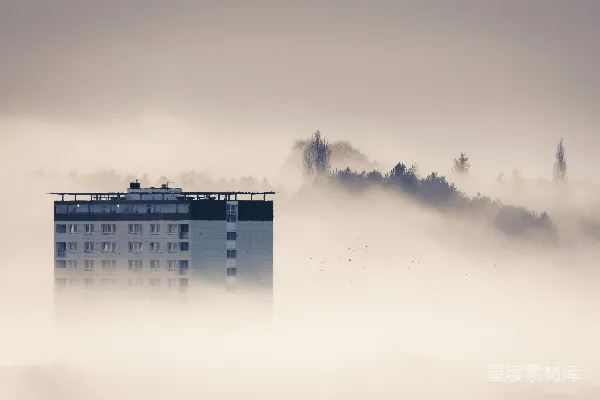 高清摄影 雾天里树旁的白色建筑