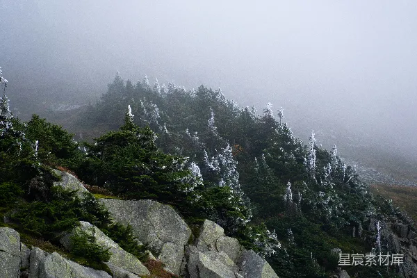 高清摄影 雾蒙蒙的山峰，岩石和树木