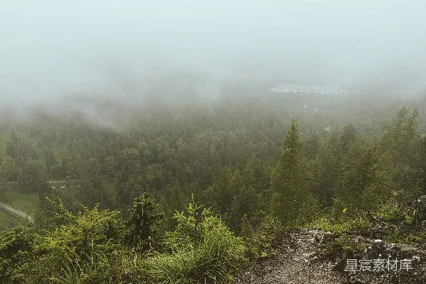 高清摄影 从山顶眺望的朦胧森林景象。