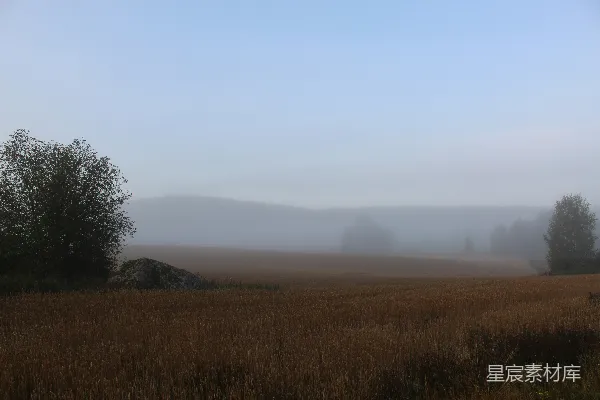 高清摄影 覆盖着雾气的土地