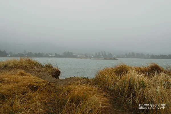 高清摄影 草地上有一片平静的湖，背景中弥漫着雾气。