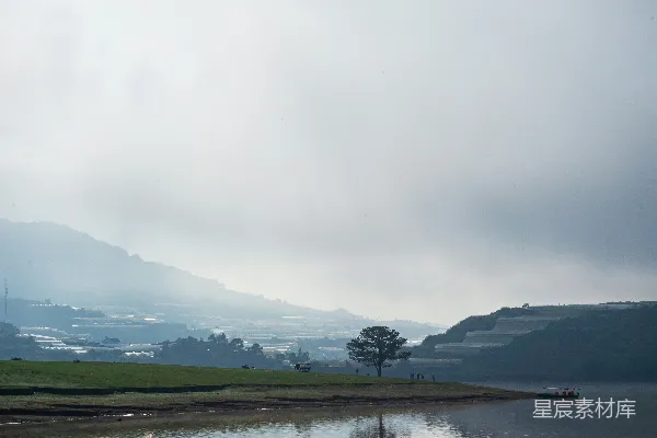 高清摄影 孤树倒映在平静的水中，雾蒙蒙的山峦在远处。