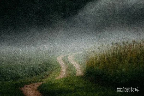 高清摄影 一条蜿蜒的土路消失在雾蒙蒙的森林中。