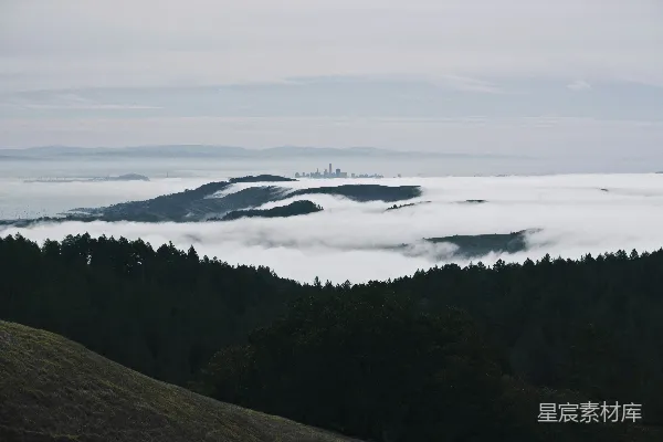 高清摄影 空中俯瞰树木的景象