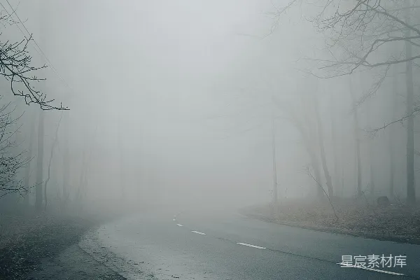 高清摄影 一条在雾蒙蒙森林中的路