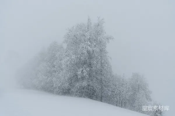 高清摄影 覆盖着积雪的山丘，背景中有树木。