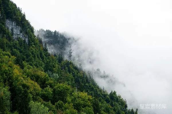 高清摄影 陡峭山壁上的雾蒙蒙的森林