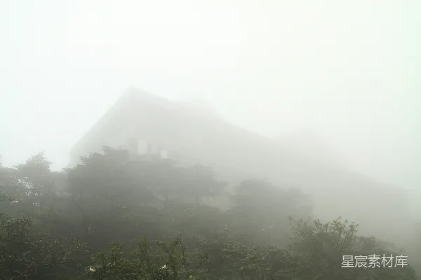 高清摄影 一座建筑和树木笼罩在浓雾中。