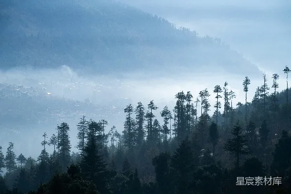 高清摄影 雾气缭绕的森林景观，高大的树木和山脉。