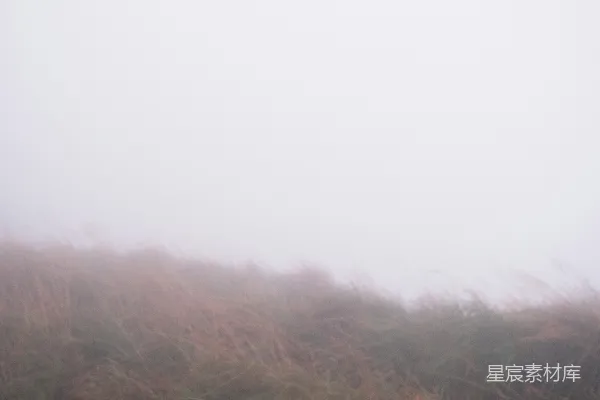 高清摄影 雾中山坡上的高草