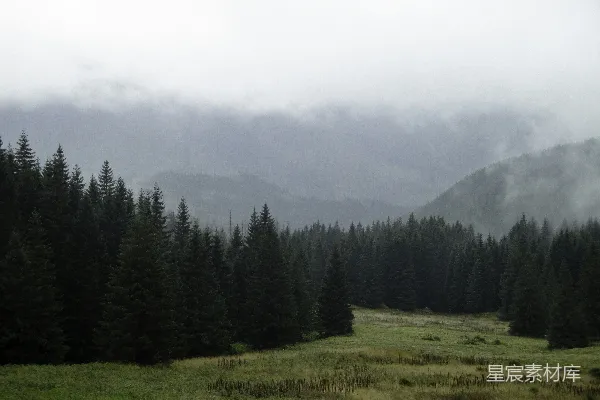 高清摄影 一片草地，背景中树木和山脉。